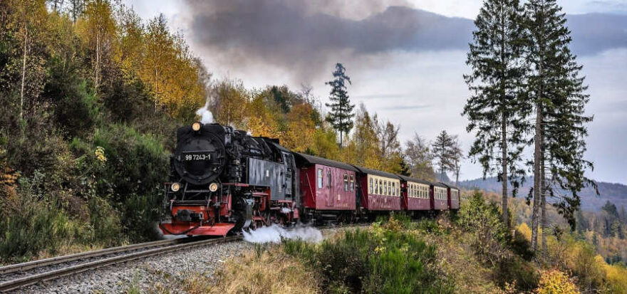 Unterhaltungskünstler, Alleinunterhalter und Komiker im Harz für Familienfeiern buchen